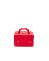 SOULJA BOY JEWELRY CASE